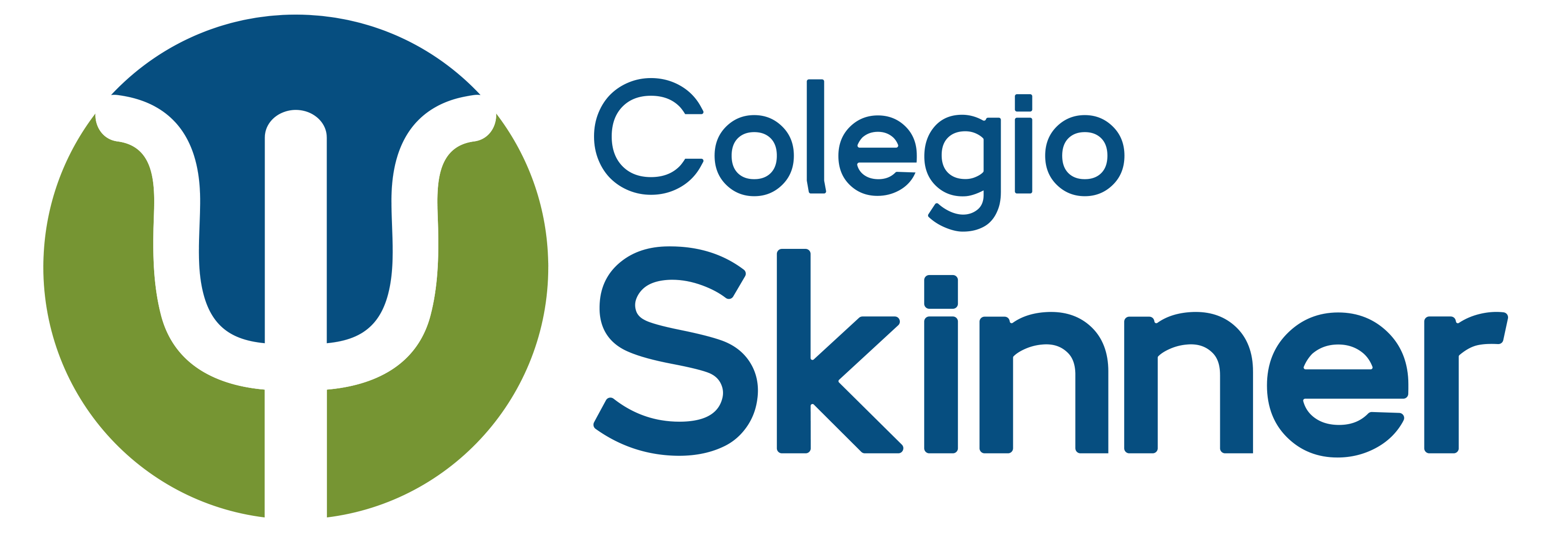 Colegio Skinner